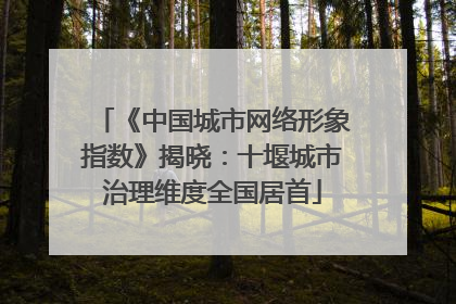 《中国城市网络形象指数》揭晓：十堰城市治理维度全国居首
