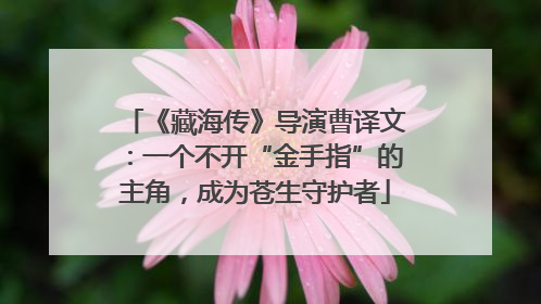 《藏海传》导演曹译文：一个不开“金手指”的主角，成为苍生守护者