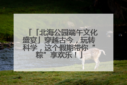 「北海公园端午文化盛宴」穿越古今，玩转科学，这个假期带你“粽”享欢乐！