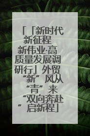 「新时代 新征程 新伟业·高质量发展调研行」外贸“新”风从“青”来 “双向奔赴”启新程