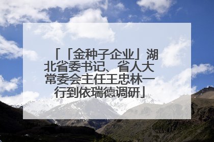 「金种子企业」湖北省委书记、省人大常委会主任王忠林一行到依瑞德调研