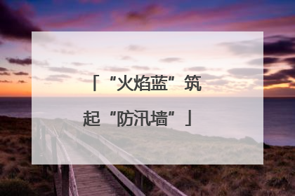 “火焰蓝”筑起“防汛墙”