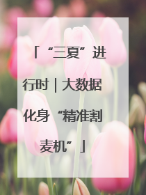 “三夏”进行时｜大数据化身“精准割麦机”