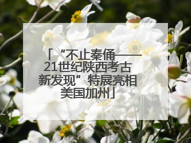 “不止秦俑——21世纪陕西考古新发现”特展亮相美国加州