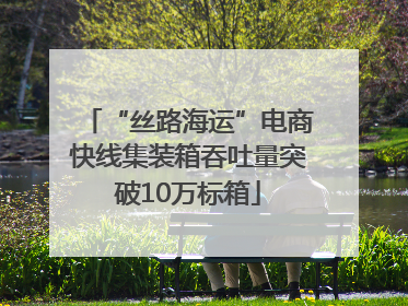 “丝路海运”电商快线集装箱吞吐量突破10万标箱