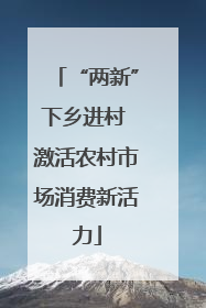“两新”下乡进村 激活农村市场消费新活力