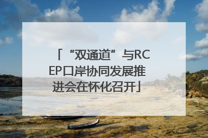 “双通道”与RCEP口岸协同发展推进会在怀化召开