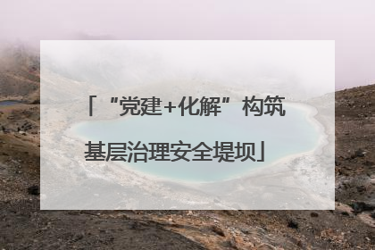 “党建+化解”构筑基层治理安全堤坝