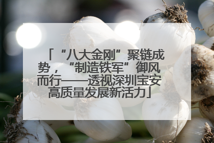 “八大金刚”聚链成势，“制造铁军”御风而行——透视深圳宝安高质量发展新活力