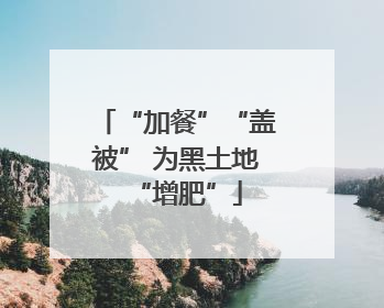 “加餐”“盖被” 为黑土地“增肥”