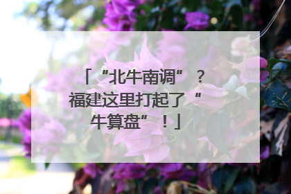 “北牛南调”？福建这里打起了“牛算盘”！