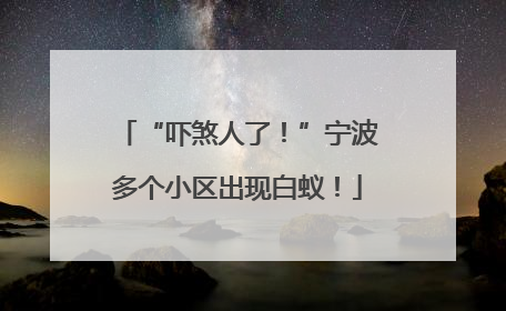 “吓煞人了！”宁波多个小区出现白蚁！