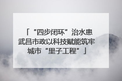 “四步闭环”治水患 武昌市政以科技赋能筑牢城市“里子工程”