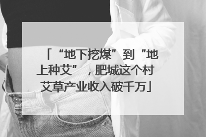 “地下挖煤”到“地上种艾”，肥城这个村艾草产业收入破千万