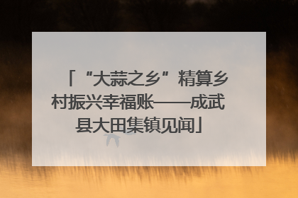 “大蒜之乡”精算乡村振兴幸福账——成武县大田集镇见闻