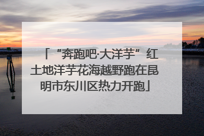 “奔跑吧·大洋芋”红土地洋芋花海越野跑在昆明市东川区热力开跑
