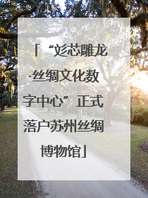 “彣芯雕龙·丝绸文化数字中心”正式落户苏州丝绸博物馆