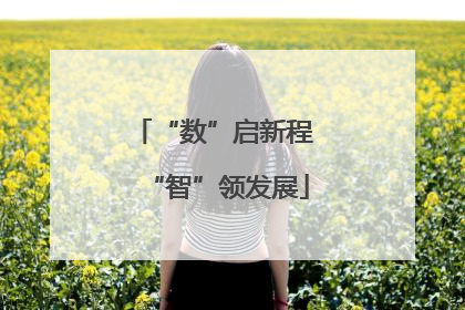 “数”启新程 “智”领发展