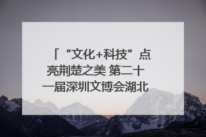 “文化+科技”点亮荆楚之美 第二十一届深圳文博会湖北馆抢“鲜”看