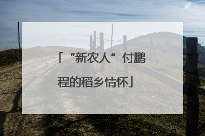 “新农人”付鹏程的稻乡情怀