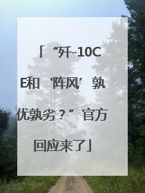 “歼-10CE和‘阵风’孰优孰劣？”官方回应来了