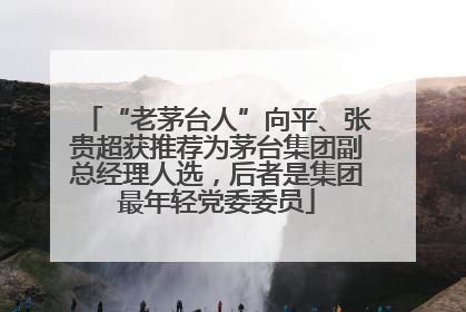 “老茅台人”向平、张贵超获推荐为茅台集团副总经理人选，后者是集团最年轻党委委员