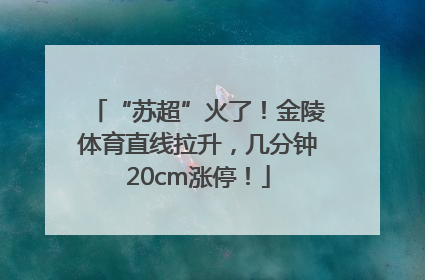 “苏超”火了！金陵体育直线拉升，几分钟20cm涨停！