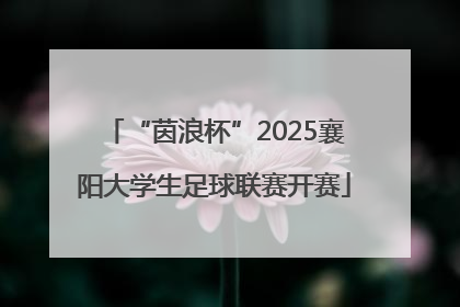 “茵浪杯”2025襄阳大学生足球联赛开赛