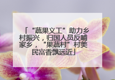 “蔬果义工”助力乡村振兴，归国人员反哺家乡，“果蔬村”村美民富香飘远近