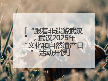 “跟着非遗游武汉”，武汉2025年“文化和自然遗产日” 活动开锣
