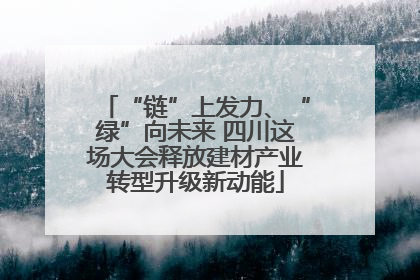 “链”上发力、“绿”向未来 四川这场大会释放建材产业转型升级新动能