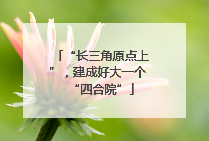 “长三角原点上”，建成好大一个“四合院”