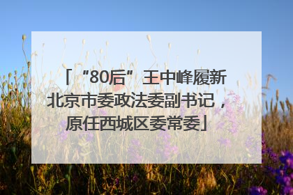 “80后”王中峰履新北京市委政法委副书记，原任西城区委常委