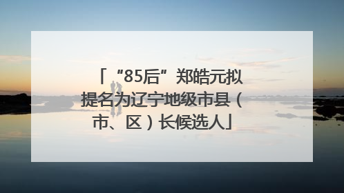 “85后”郑皓元拟提名为辽宁地级市县（市、区）长候选人