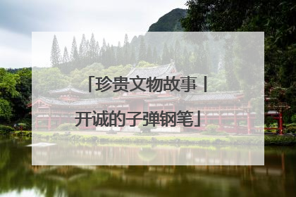 珍贵文物故事丨开诚的子弹钢笔