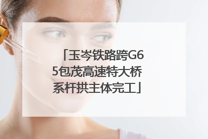 玉岑铁路跨G65包茂高速特大桥系杆拱主体完工