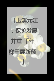 玉溪元江：保护发展并重 千年梯田展新颜