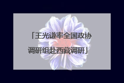 王光谦率全国政协调研组赴西藏调研