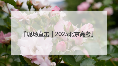 现场直击｜2025北京高考