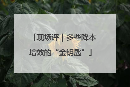 现场评｜多些降本增效的“金钥匙”