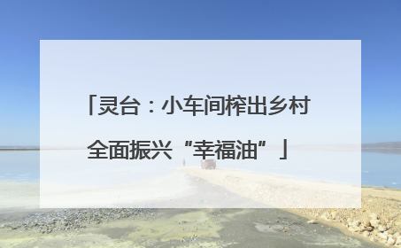 灵台：小车间榨出乡村全面振兴“幸福油”