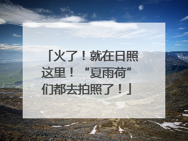 火了！就在日照这里！“夏雨荷”们都去拍照了！
