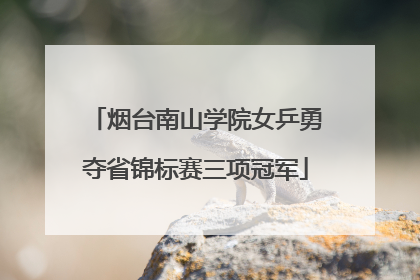烟台南山学院女乒勇夺省锦标赛三项冠军