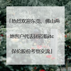 热烈欢迎东莞、佛山两地客户代表团莅临itc保伦股份考察交流