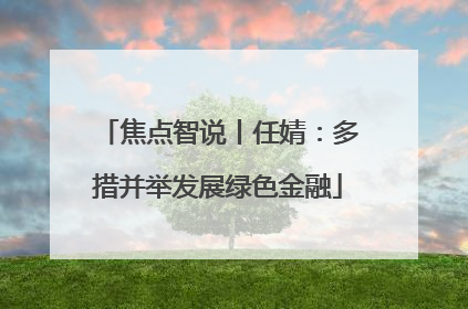 焦点智说丨任婧：多措并举发展绿色金融