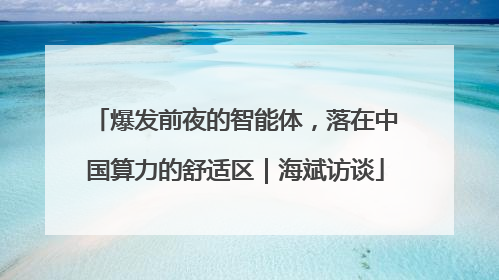 爆发前夜的智能体，落在中国算力的舒适区｜海斌访谈