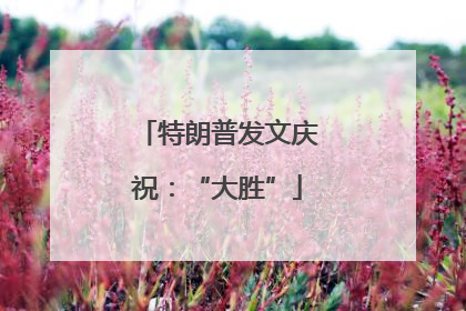 特朗普发文庆祝：“大胜”