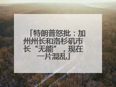 特朗普怒批：加州州长和洛杉矶市长“无能”，现在一片混乱