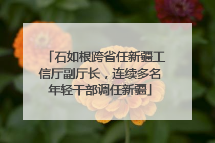 石如根跨省任新疆工信厅副厅长，连续多名年轻干部调任新疆