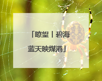 瞭望丨碧海蓝天映煤港